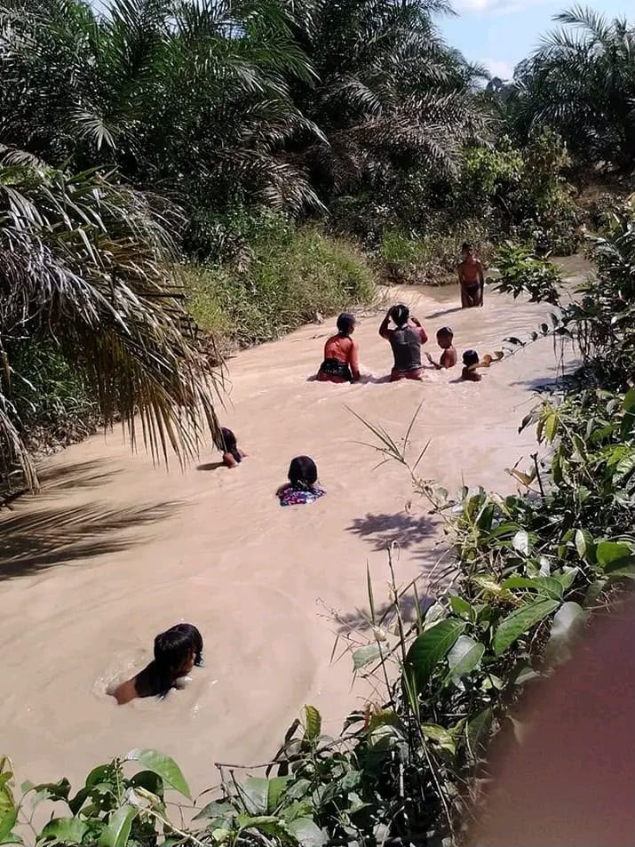 Ngakop Ikan dalam Kebiasaan Suku Anak Dalam