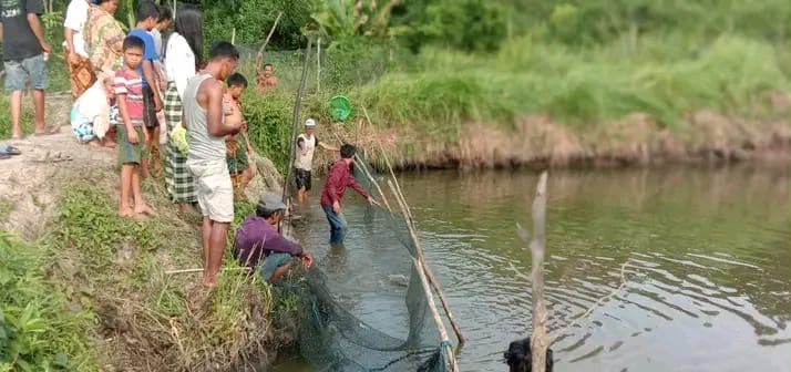 Kegiatan pengambilan Ikan